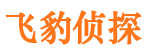 大埔市私家侦探